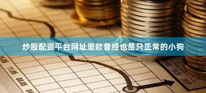 炒股配资平台网址里欧曾经也是只正常的小狗