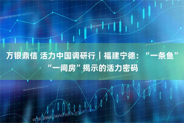 万银鼎信 活力中国调研行｜福建宁德：“一条鱼”“一间房”揭示的活力密码