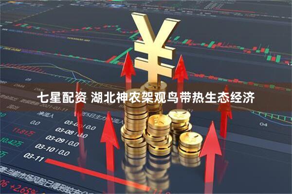 七星配资 湖北神农架观鸟带热生态经济
